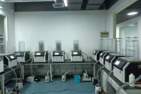 浙江某高校采購實驗型鐘罩式冷凍干燥機助力日常物料凍干實驗項目