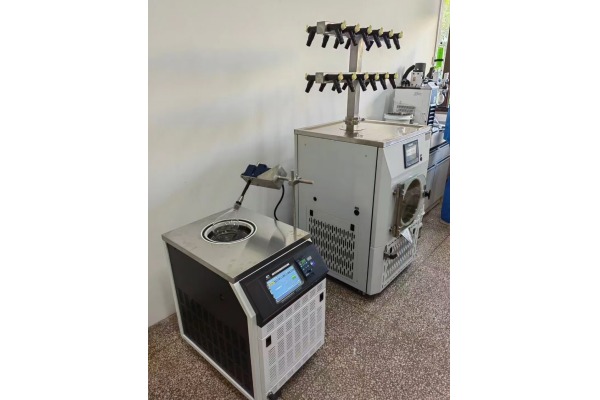 江蘇某高校訂購T型架型冷凍干燥機及旋動機用于生物化學凍干實驗項目