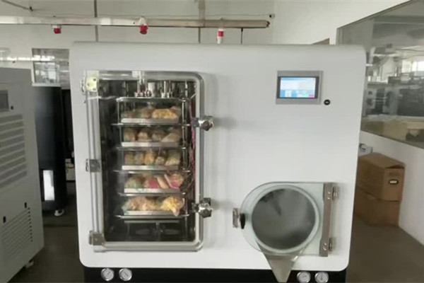 SCIENTZ-50F定制型冷凍干燥機食品凍干測試實拍