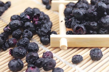 創(chuàng)新技術(shù)引領(lǐng)未來:凍干食品與藥品的無盡潛力