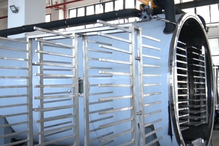 凍干技術×智能凍干機,驅動食品加工的下一個增長極!