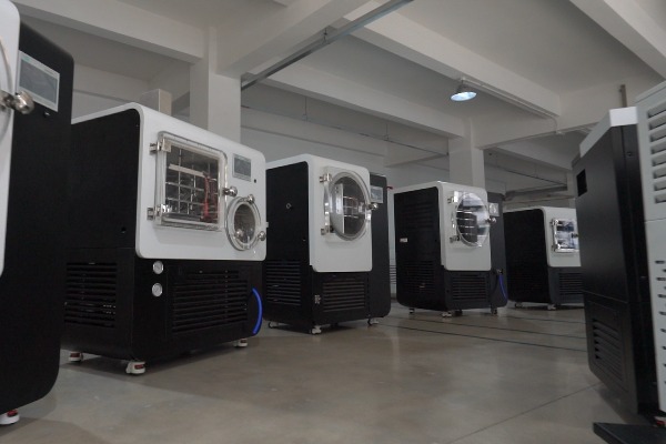 二手實(shí)驗(yàn)室真空冷凍干燥機(jī)能買嗎？?jī)r(jià)格大概多少錢？