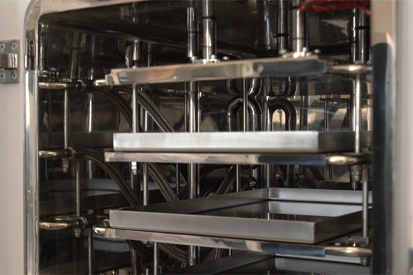 聚焦2025！真空冷凍干燥設備廠家優選,寧波新芝凍干設備股份有限公司值得信賴！