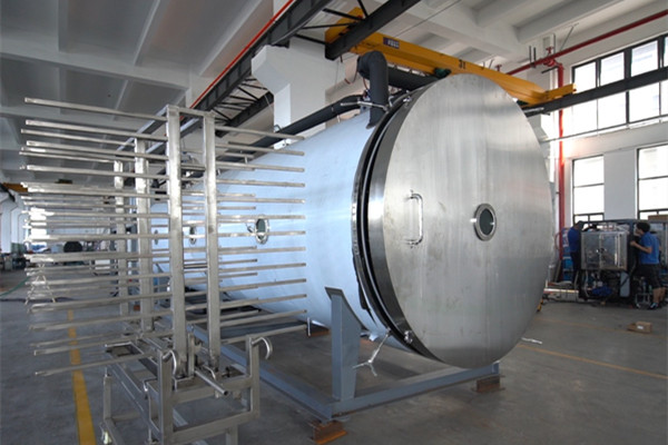 2025食品凍干機廠家推薦寧波新芝凍干設備股份有限公司:專業果蔬冷凍干燥機推薦！